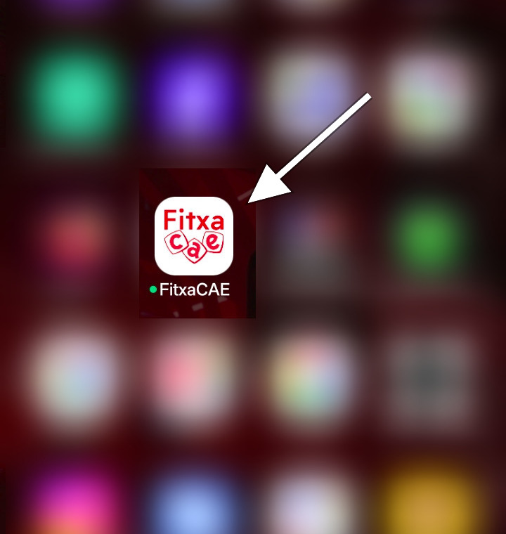 Captura del pas 4: L'app apareix a la pantalla d'inici